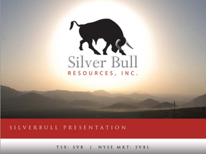 Silver Bull Presentation