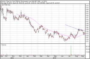 True Gold (TGM:TSXV) 12 month chart (Stockwatch)