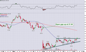 POT_Daily_11.11.2013