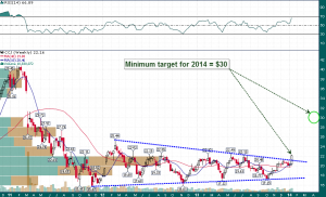 CCJ_Weekly_1.16.2014_001