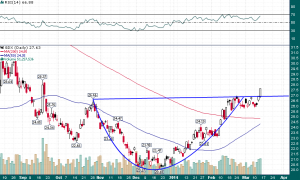 GDX_Cup_&_Handle