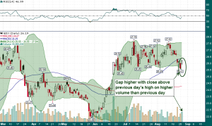 GDX_8.27.2014